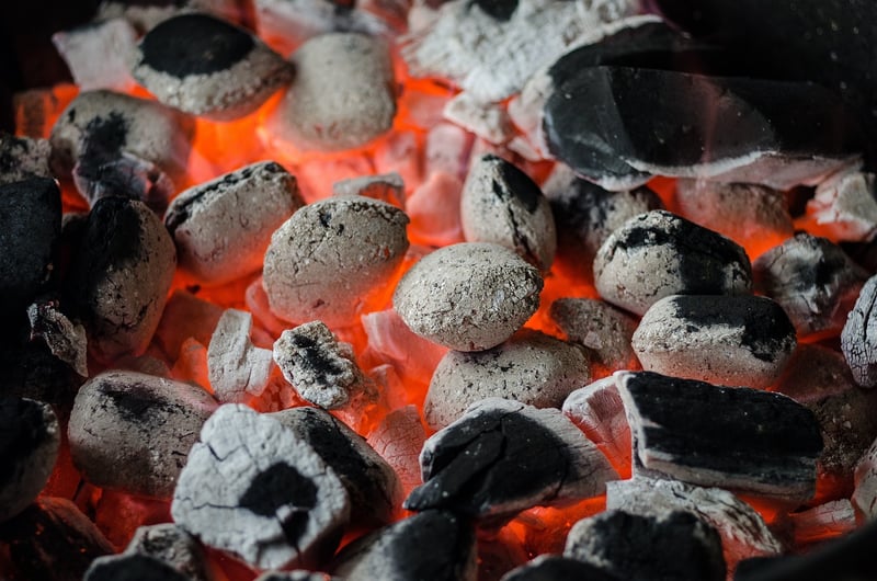 Barbecue Festival